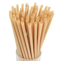 Disposable Straws