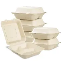 Disposable Dinnerware & Tableware