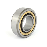 Cylindrical Roller Bearings