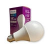 LED Bulbs