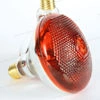 Halogen Bulbs