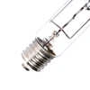 Metal Halide Lamps