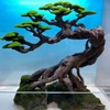 Other Aquarium Decor