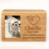 Pet Caskets & Urns