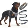 Pet Collars