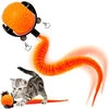 Pet Interactive & Movement Toys