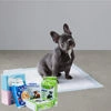 Other Pet Training & Behavior Products