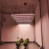 Grow Lights