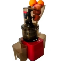 Commercial Juice Extractor