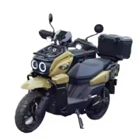 Electric Motorcycles