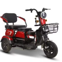 Electric Tricycles