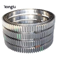 Slewing Bearings