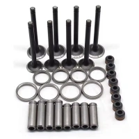 Intake & Exhaust Valves & Valve Tappets