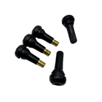 Valve Stems, Caps & Adapters