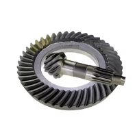 Pinion Gears & Differential Ring