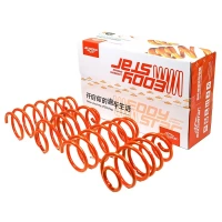 Shock Absorber Springs