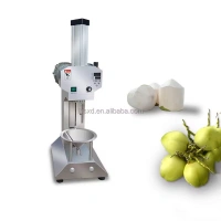 Fruit & Vegetable peeling machine