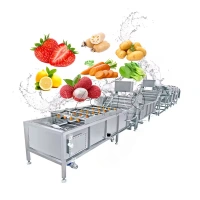 Fruit & Vegetable washing equipments