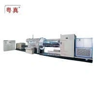 Other Plastic & Rubber Machinery