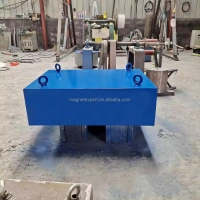 Magnetic Separator