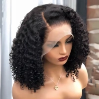 Human Hair Wigs