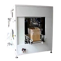 Case Packing Machine