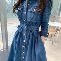 Women's Denim Dresses