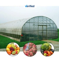 Agricultural Greenhouses