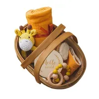 Baby Rattle Set