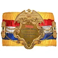 Boxing Belts