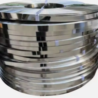 Cold Rolled Steel Strips