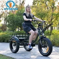 Electric Cargo Bike