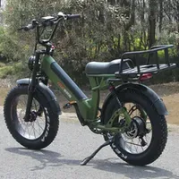 Electric Folding Bike