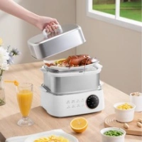 Electric Food Steamers