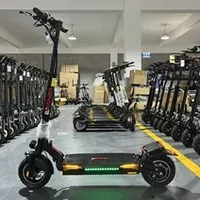 Electric Scooters