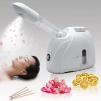 Facial Steamer