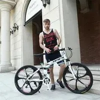 Folding Bike