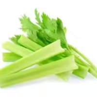 Fresh Celery Cabbage