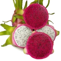 Fresh Dragon Fruit