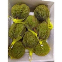 Fresh Durians