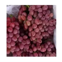 Fresh Grapes