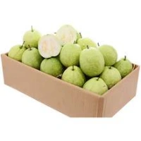 Fresh Guava