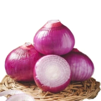 Fresh Onions