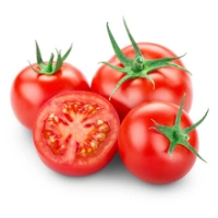 Fresh Tomatoes