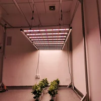 Grow Lights