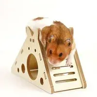 Hamster Toys