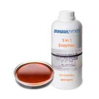 Industrial Enzymes