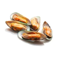 Mussel