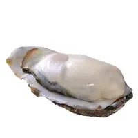 Oyster