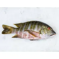 Porgy